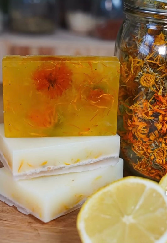 Calendula